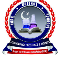 BADR ELEMENTARY SCIENCE SCHOOL,JOS Logo